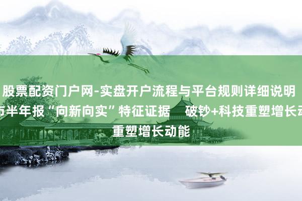 股票配资门户网-实盘开户流程与平台规则详细说明 沪市半年报“向新向实”特征证据    破钞+科技重塑增长动能